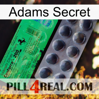 Adams Secret new04
